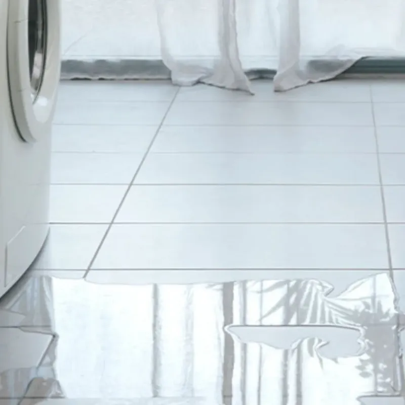 Appliance Leak Cleanup in Luling, TX
