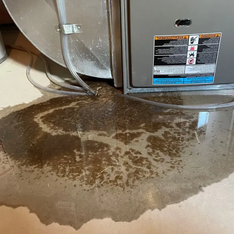 Pipe Burst and Leak Restoration in Luling, TX